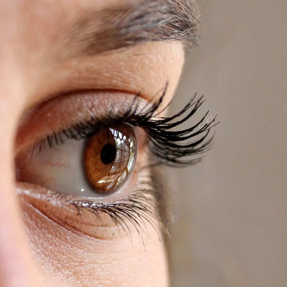 Apa Itu Eyelash dan Eyelash Extension?